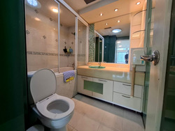 The Plaza (D7), Apartment #471350711